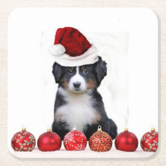 Posavasos Cuadrado De Papel Perro de montaña de Bernese del navidad