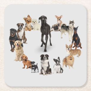 Posavasos Cuadrado De Papel Perro divertido Raza Mascota Animales Perro