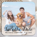 Posavasos Cuadrado De Papel Personalizado Mascota de compromiso moderno Boda f<br><div class="desc">Añada el toque final a la boda de su perro, salve las fechas con esta foto del personalizado, y pegatinas personalizados de "Mis seres humanos se están casando... Salven la fecha". Personalizar con tu foto, nombres y fecha favoritos. Este perro boda mascota salva la fecha en que los pegatinas son...</div>