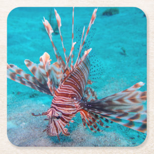 Posavasos Cuadrado De Papel Pescados rojos hermosos del león