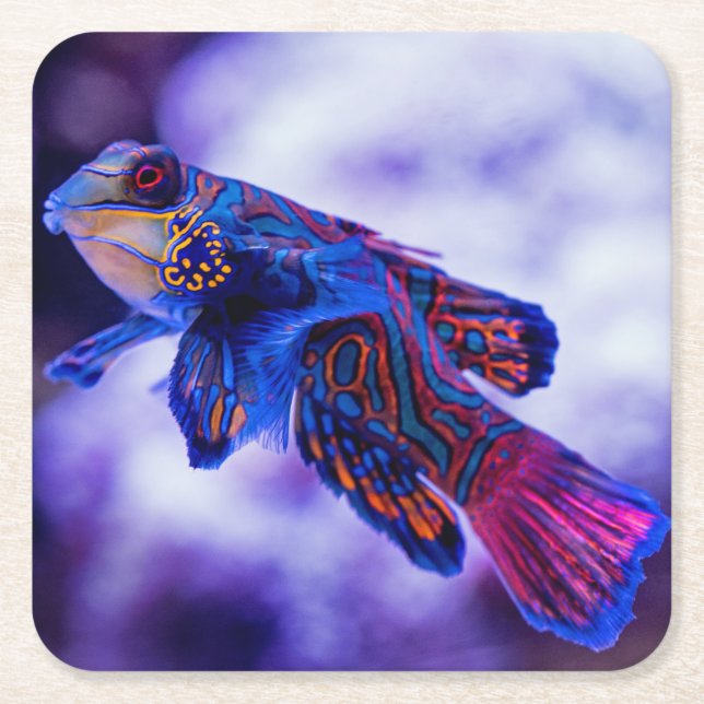 Posavasos Cuadrado De Papel Pez Goby Mandarín (Anverso)