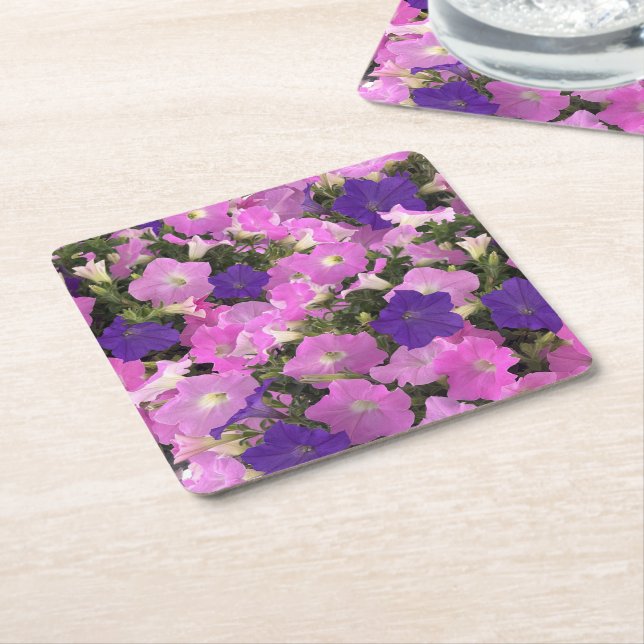 Posavasos Cuadrado De Papel Photo Image Of Morning Glory Pink & Purple Flowers (En perspectiva)