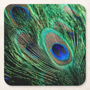 Posavasos Cuadrado De Papel Pieza de pavo real