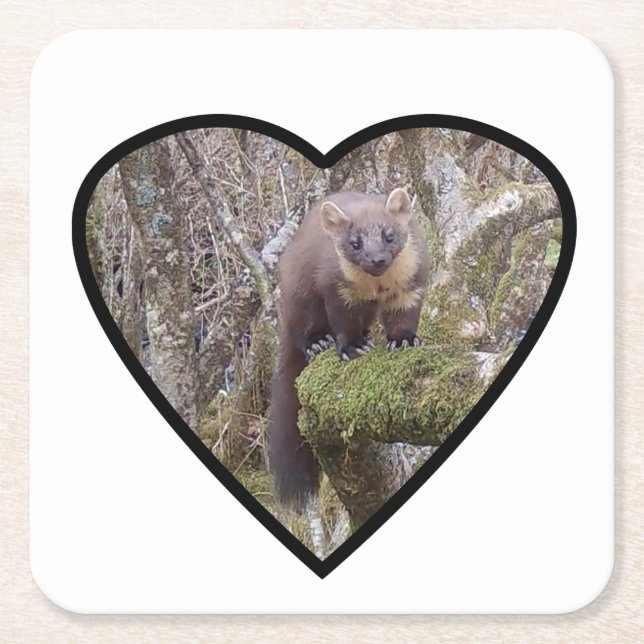 Posavasos Cuadrado De Papel Pine Marten Coaster (Anverso)