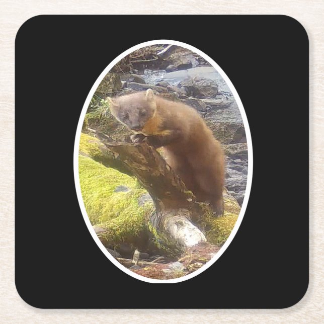 Posavasos Cuadrado De Papel Pine Marten en la montaña de papel de registro (Anverso)