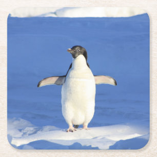 Posavasos Cuadrado De Papel Pingüino