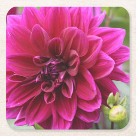 Posavasos Cuadrado De Papel Pink Dahlia Coaster
