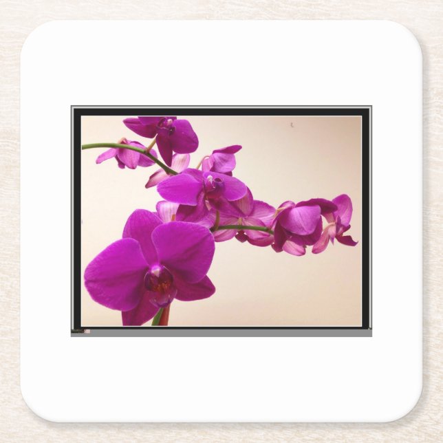 Posavasos Cuadrado De Papel Pink orchid (Anverso)
