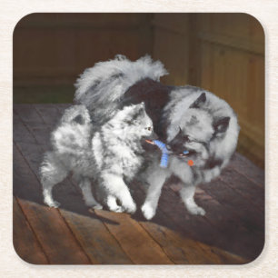 Posavasos Cuadrado De Papel Pintado Keeshond Playtime - Arte Perro Original.