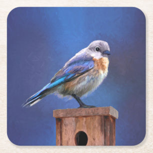 Posavasos Cuadrado De Papel Pintura de pájaro azul (hembra) - Arte de pájaros