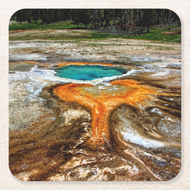Posavasos Cuadrado De Papel Piscina la termal de Yellowstone (Anverso)
