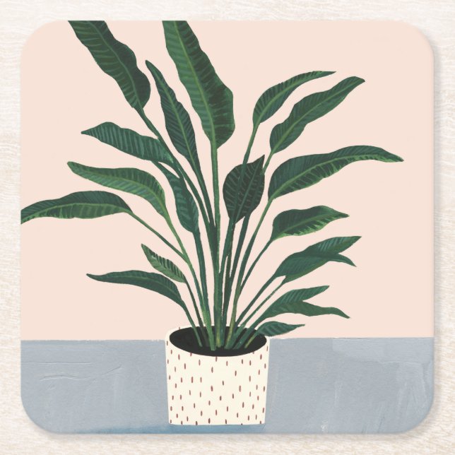 Posavasos Cuadrado De Papel Planta doméstica (Anverso)