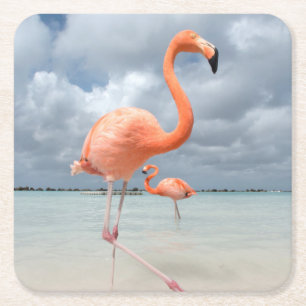 Posavasos Cuadrado De Papel Playa Aruba de los flamencos