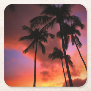 Posavasos Cuadrado De Papel Playas tropicales Islas Maui Hawaii