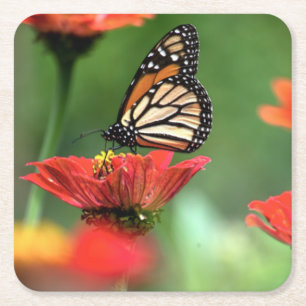 Posavasos Cuadrado De Papel Polinización de la mariposa monarca