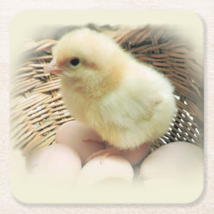 Posavasos Cuadrado De Papel Pollo amarillo mullido lindo del bebé en cesta