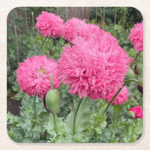 Posavasos Cuadrado De Papel Pom Pom Poppies rosados