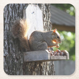 Posavasos Cuadrado De Papel Posavasos de bebida de ardilla
