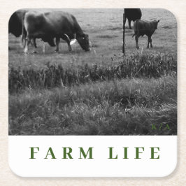 Posavasos Cuadrado De Papel Posavasos temáticos de la familia de las vacas