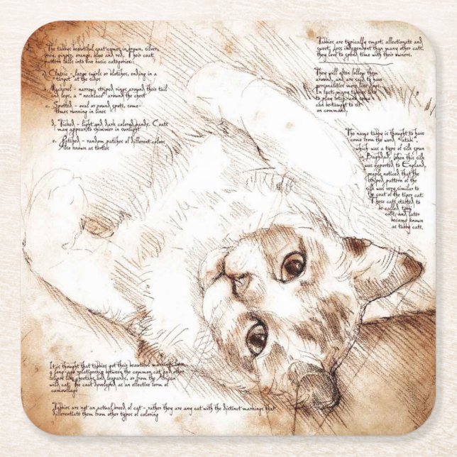 Posavasos Cuadrado De Papel Práctico de costa del bosquejo del gato de (Anverso)