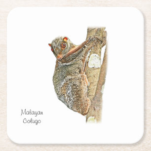 Posavasos Cuadrado De Papel Práctico de costa malayo del Colugo