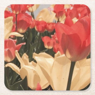 Posavasos Cuadrado De Papel Prácticos de costa de los tulipanes de la acuarel