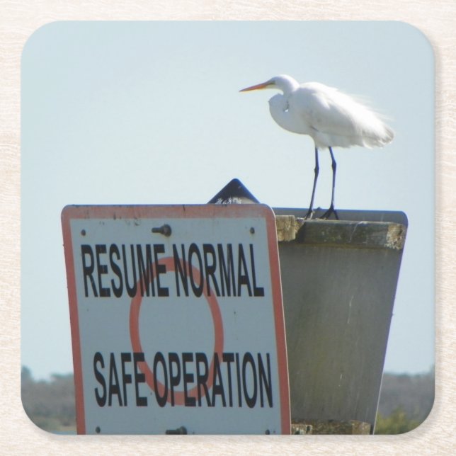 Posavasos Cuadrado De Papel Prácticos de costa náuticos del Rótulo (Anverso)