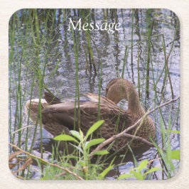 Posavasos Cuadrado De Papel Predicación del pato en los carrizos