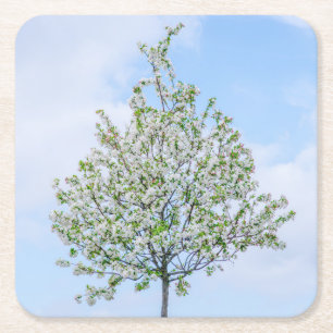 Posavasos Cuadrado De Papel Primavera - Feliz Pascua