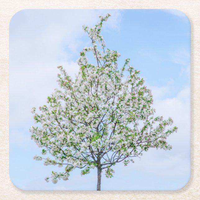 Posavasos Cuadrado De Papel Primavera - Feliz Pascua (Anverso)