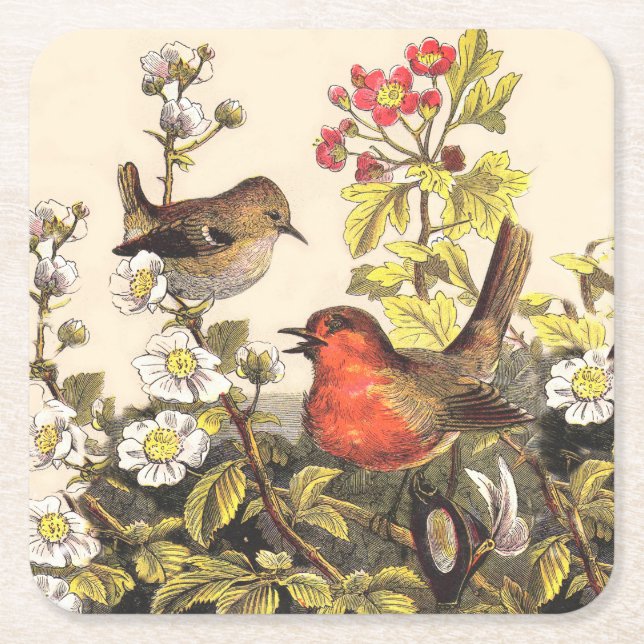 Posavasos Cuadrado De Papel Primavera Robin Birds Red Birds (Anverso)