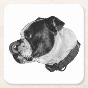 Posavasos Cuadrado De Papel Protector de mesa Bulldog Gentle