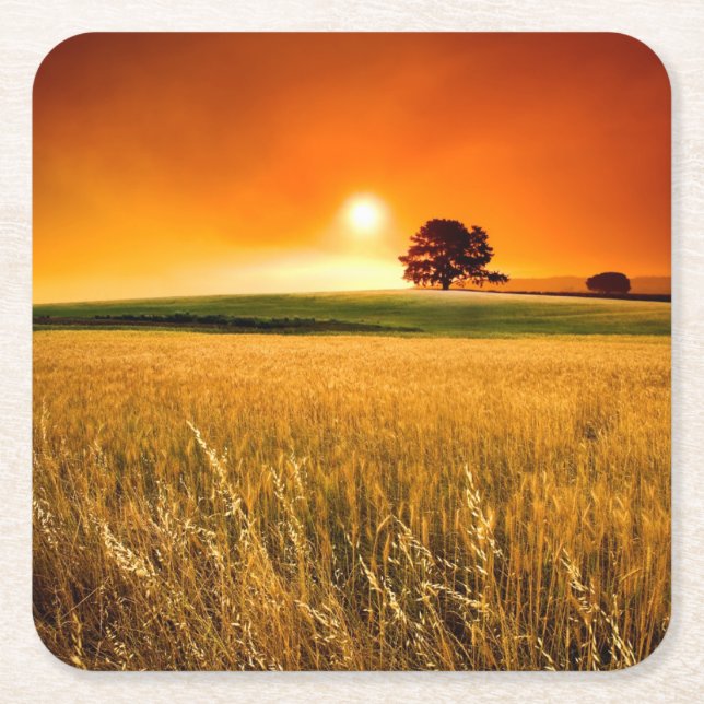 Posavasos Cuadrado De Papel Puesta del sol roja sangre (Anverso)