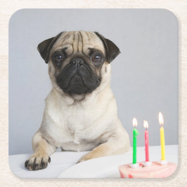 Posavasos Cuadrado De Papel Pug de cumpleaños (Anverso)