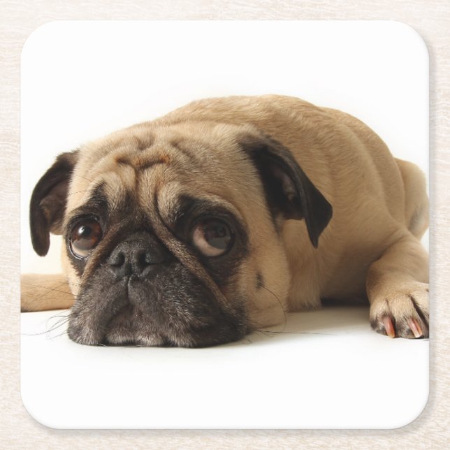 Posavasos Cuadrado De Papel Pug triste (Anverso)