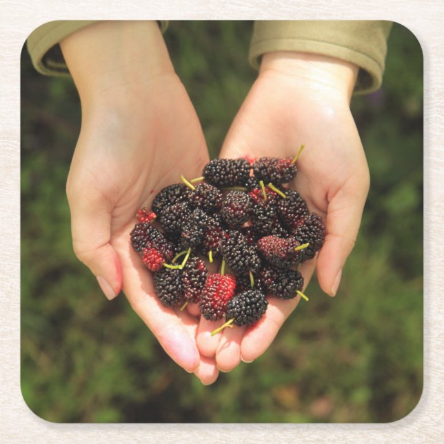 Posavasos Cuadrado De Papel Puñado de bayas de la mora frescas y dulces (Anverso)
