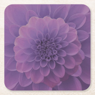 Posavasos Cuadrado De Papel Purple Dahlia