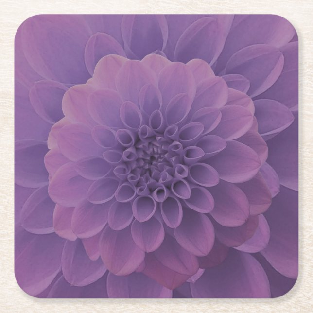 Posavasos Cuadrado De Papel Purple Dahlia (Anverso)