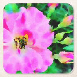 Posavasos Cuadrado De Papel Púrpura acuarela rosa de los Rosas de verano