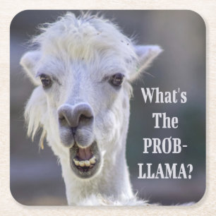 Posavasos Cuadrado De Papel ¿Qué es el Prob- Llama? Cute Funny LLAMA