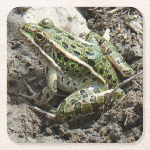 Posavasos Cuadrado De Papel R3 Rana Leopardo