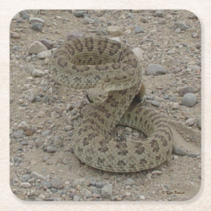 Posavasos Cuadrado De Papel R9 Prairie Rattlesnake