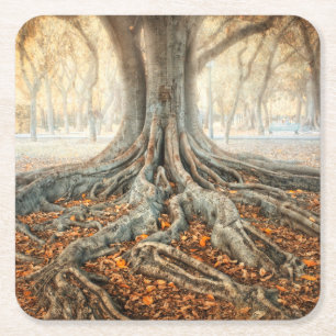 Posavasos Cuadrado De Papel Raíces antiguas del árbol