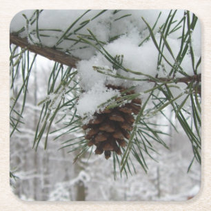 Posavasos Cuadrado De Papel Rama de pino nevada Fotografía de la naturaleza in