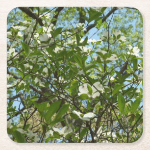 Posavasos Cuadrado De Papel Ramas de Dogwood florecen árboles de primavera