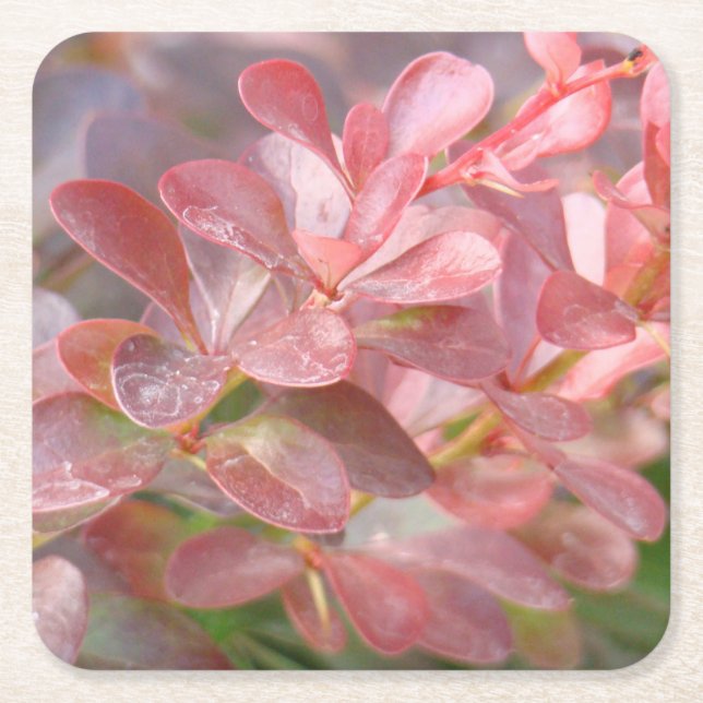 Posavasos Cuadrado De Papel Ramas rosadas de bonito (Anverso)