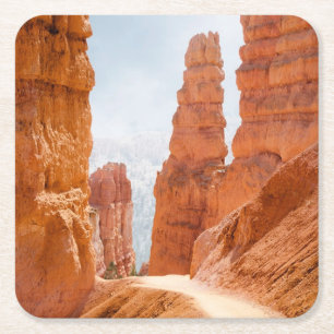 Posavasos Cuadrado De Papel Rastro del parque nacional del barranco de Bryce