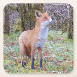 Posavasos Cuadrado De Papel Red Fox Coaster