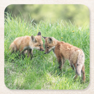 Posavasos Cuadrado De Papel Red Fox Kits