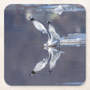 Posavasos Cuadrado De Papel Reflexiones sobre Gull